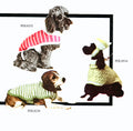 Knitted Dog Coat Pattern