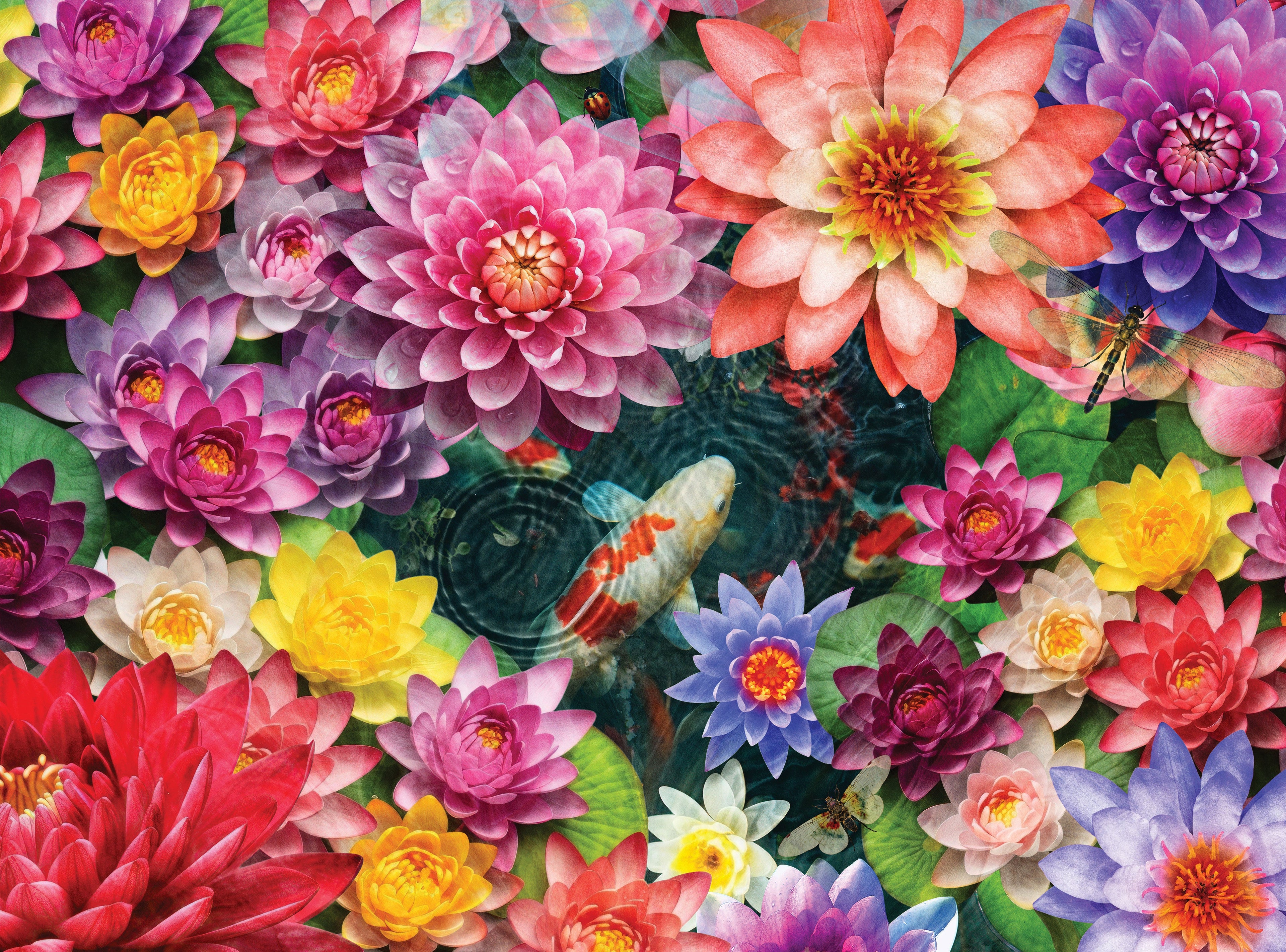 Colorful KOI Pond Jigsaw Puzzle