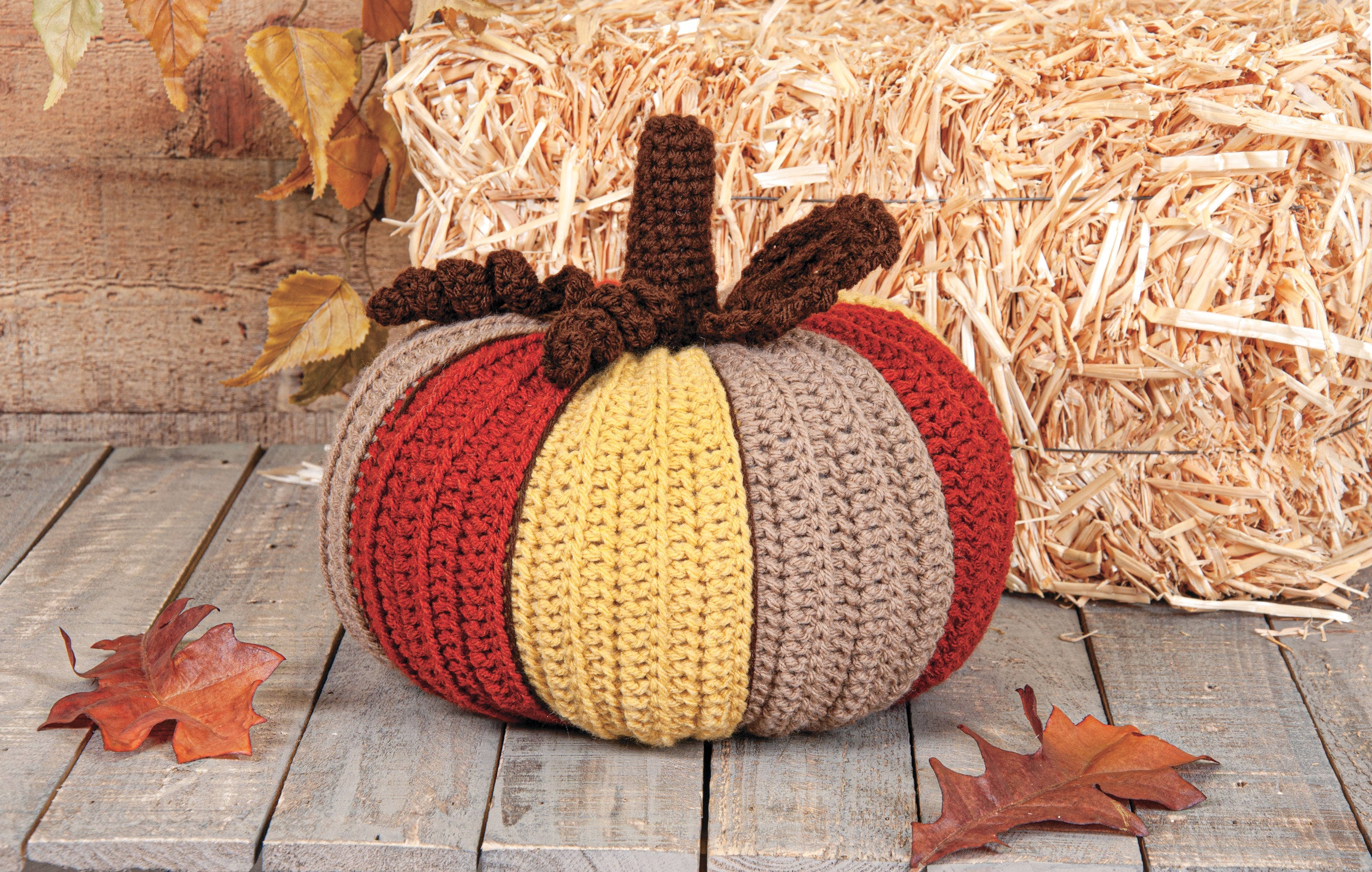 Gourd-geous Pumpkins
