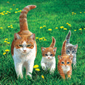 Happy Tails Jigsaw Puzzle